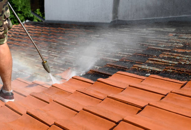 Best Local Pressure Washing Services  in Walton Park, NY